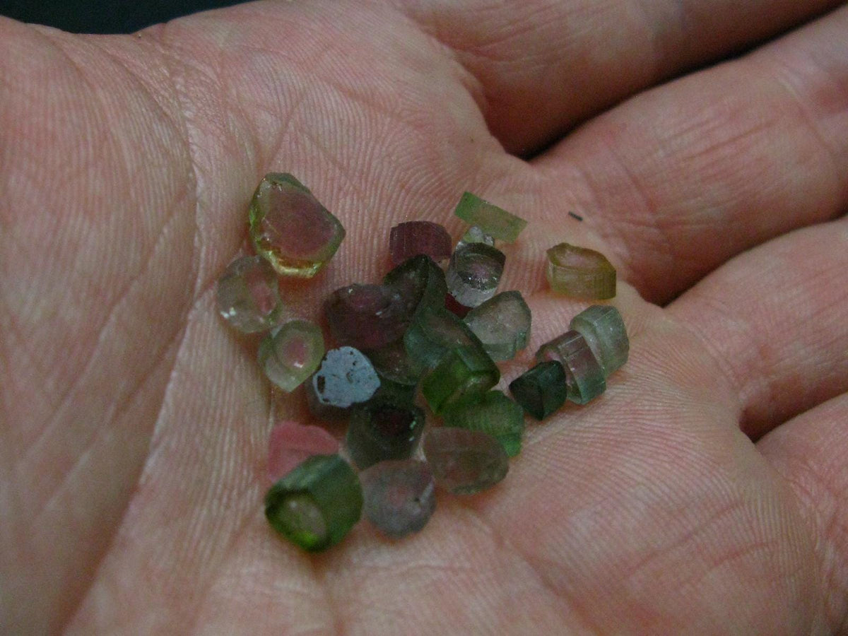 Lot of 25 Watermelon Tourmaline Crystal Slices From Brazil - 20 Carats