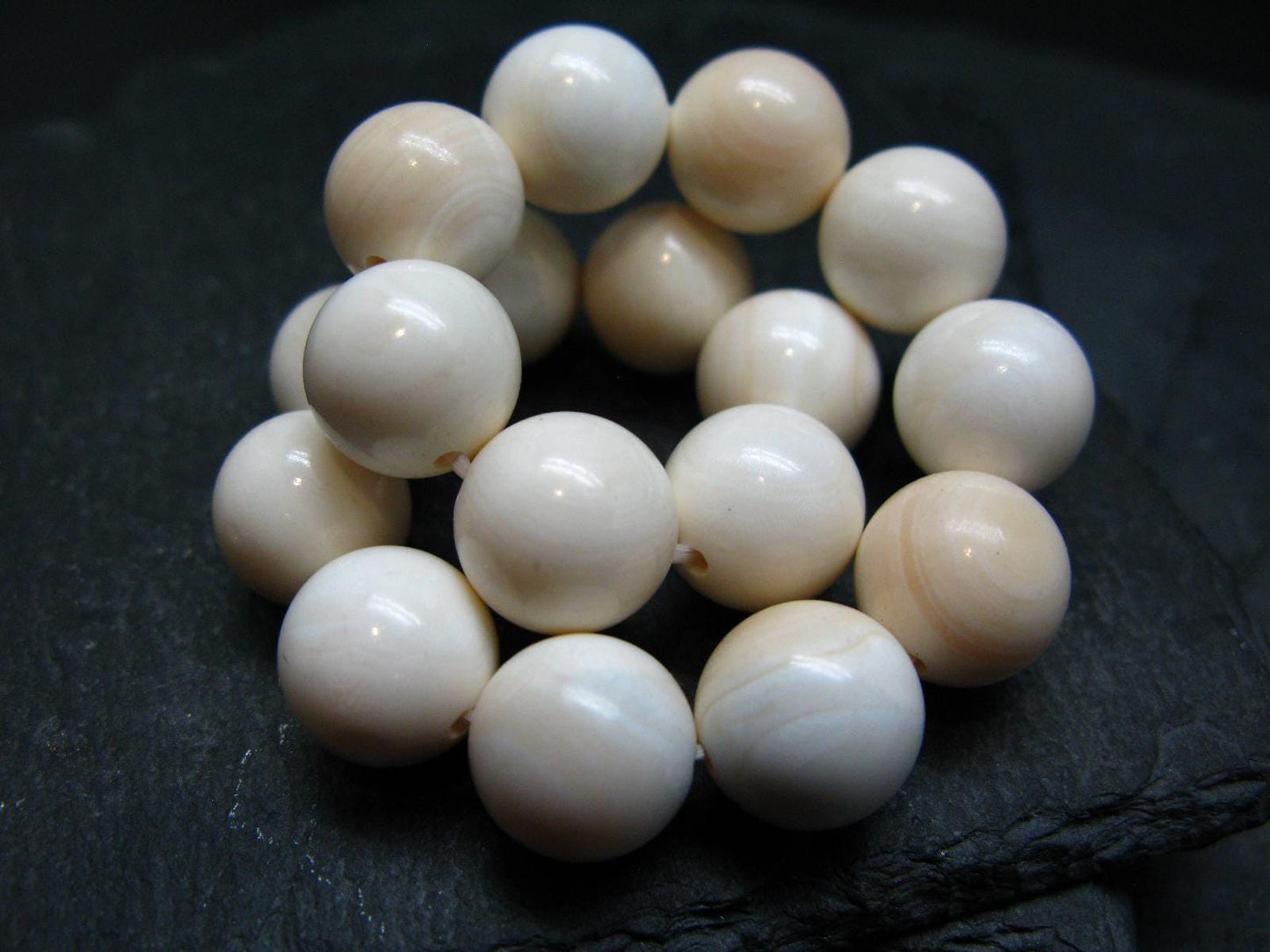 Conch Shell Genuine Bracelet ~ 7 Inches ~ 12mm Round Beads