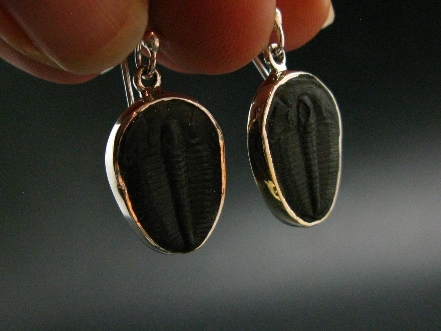Trilobite Silver Earrings from USA - 1.3" - 3.68 Grams
