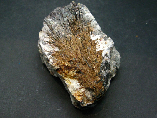 Astrophylite Astrophyllite Cluster From Russia - 3.2"