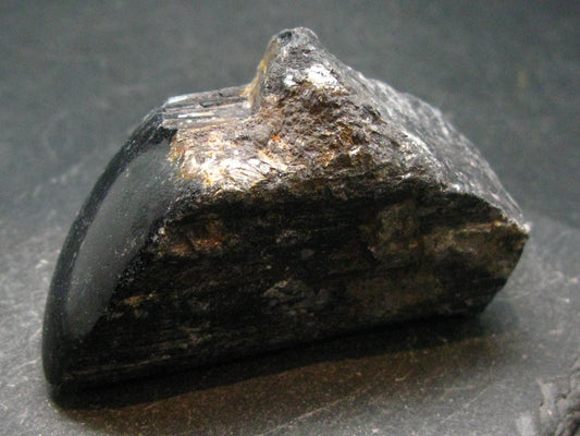 Fine Black Tourmaline Schorl Crystal From Brazil - 2.5"