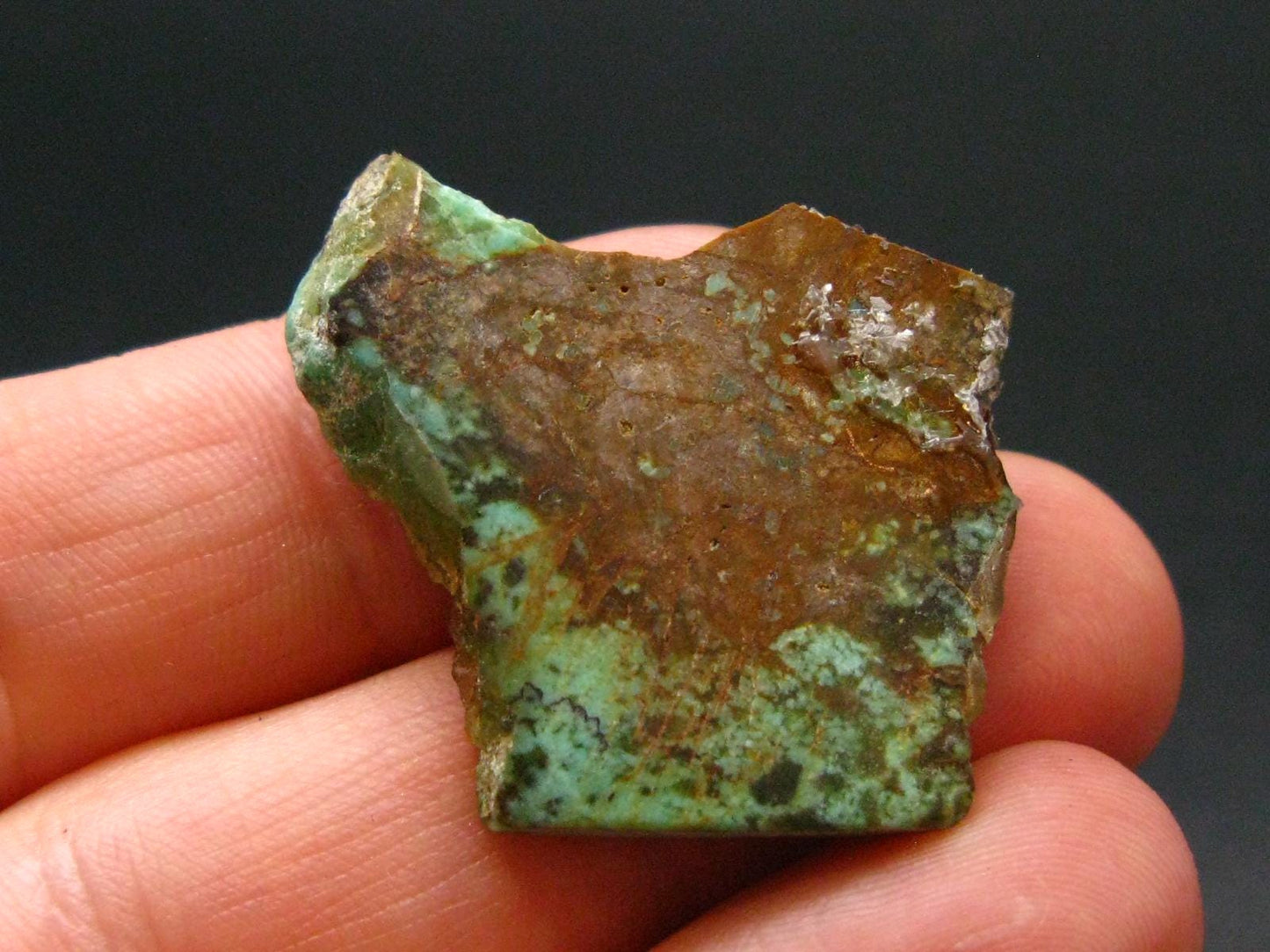 Genuine Tumbled Turquoise from Arizona, USA - 1.1" - 4.01 Grams