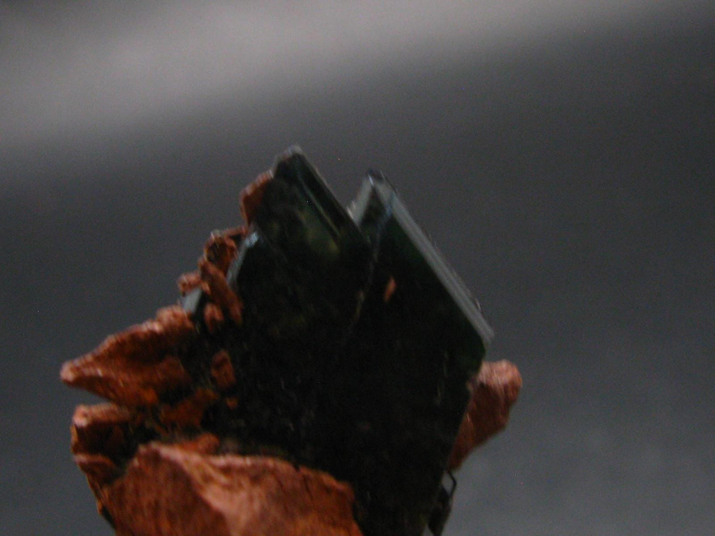 Vivianite Crystal From Bolivia - 2.1" - 26.0 Grams