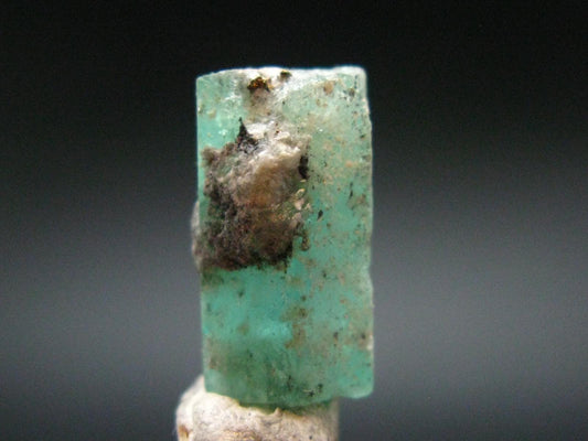 Emerald Beryl Crystal From Colombia - 0.5" - 12.15 Carats