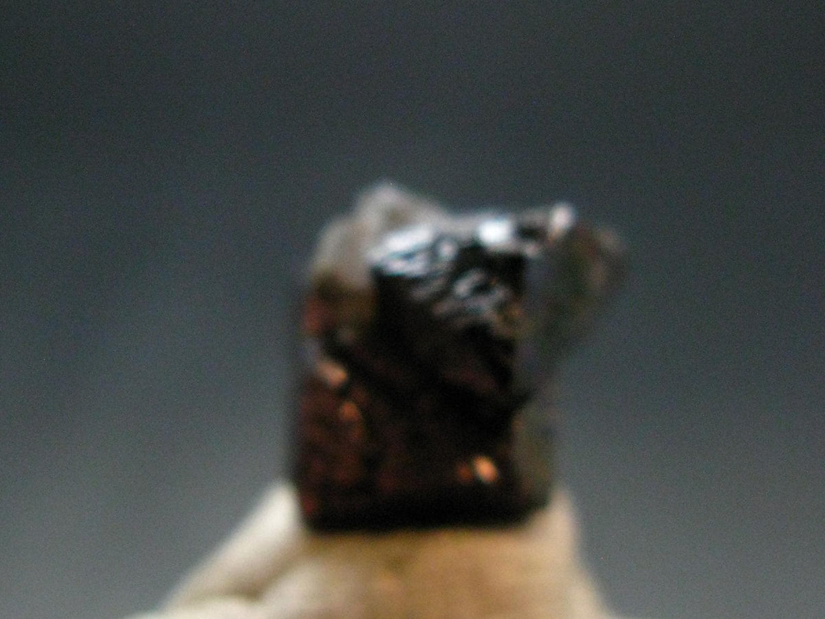 Large Brookite Crystal From Arkansas - 1.0 Grams - 9 mm