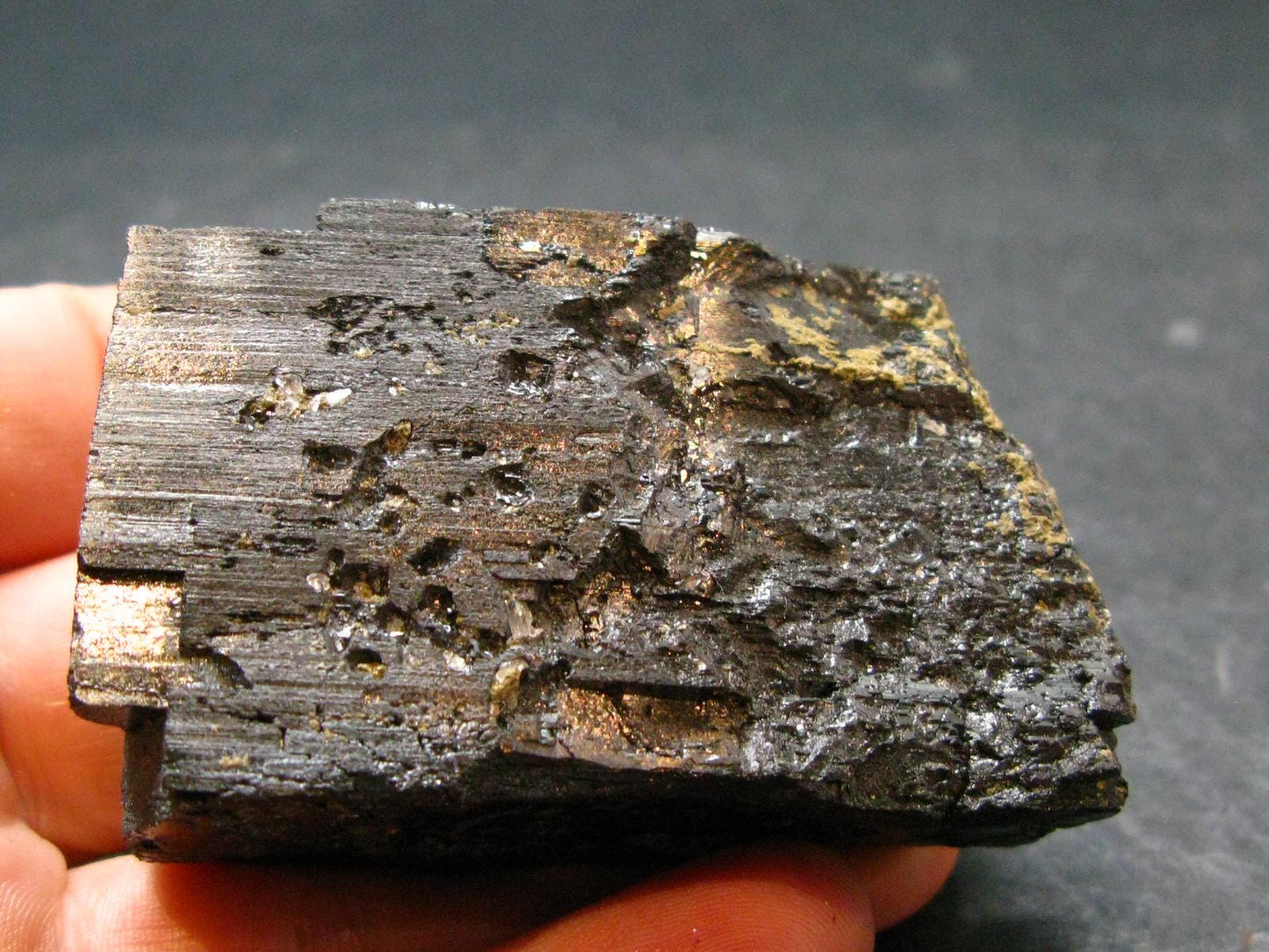 Wolframite Crystal From Portugal - 2.1" - 177.75 Grams
