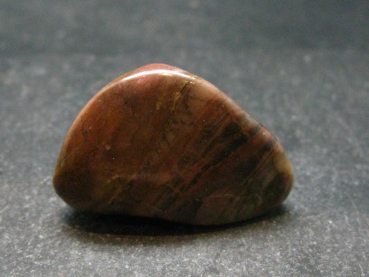 Rare Bustamite Tumbled Stone from South Africa - 1.2" - 14.50 Grams