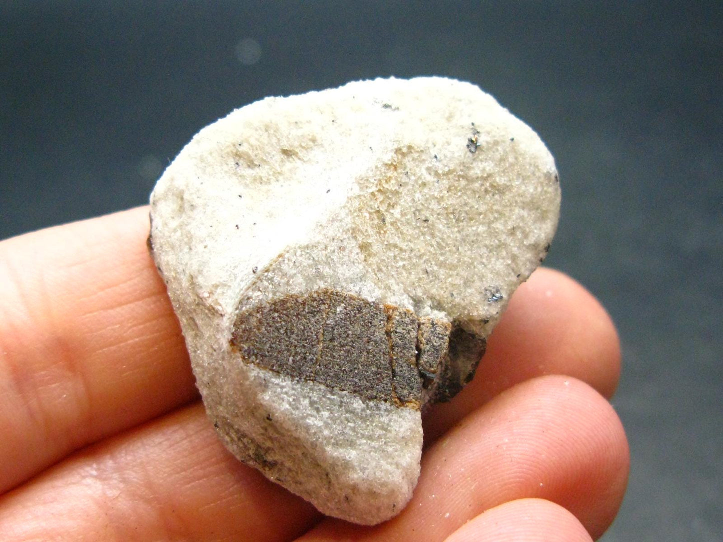 A Perfect Staurolite Crystal from Russia - 1.3" - 15.67 Grams