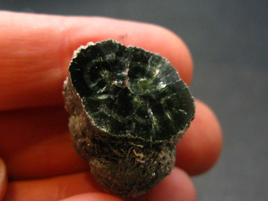 Nice Polished Seraphinite Clinochlore Stalactite From Russia - 0.8" - 7.52 Grams