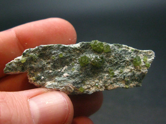 Rare Demantoid Garnet Cluster from Italy - 2.1" - 21.08 Grams