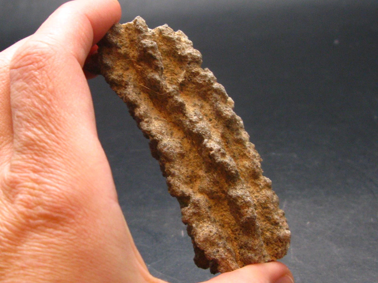 Large Fulgurite Lightning Rock From Sahara Desert - 3.2"