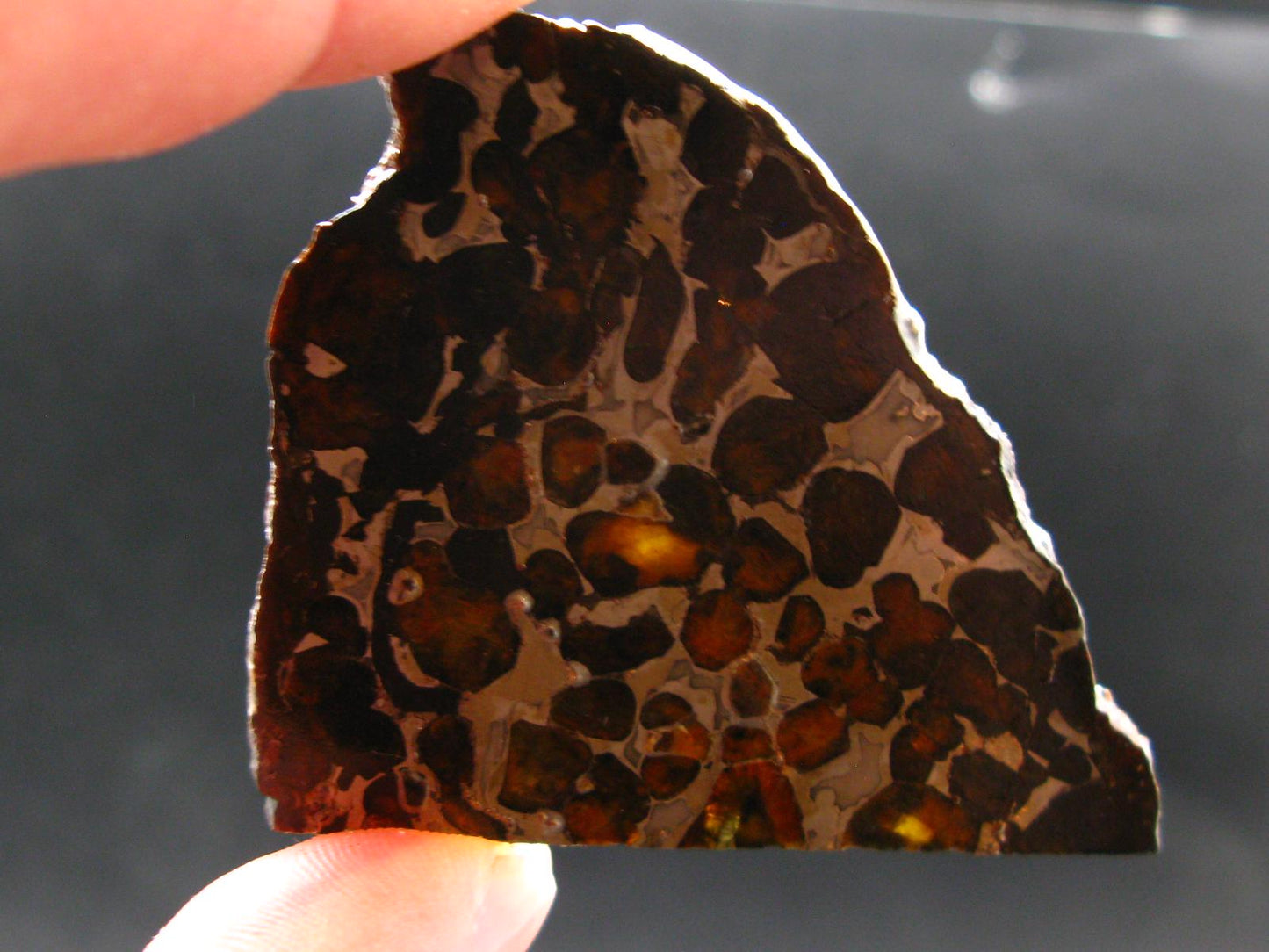 Large Sericho Meteorite Pallasite Olivine Slice From Kenya - 2.8" - 20.07 Grams