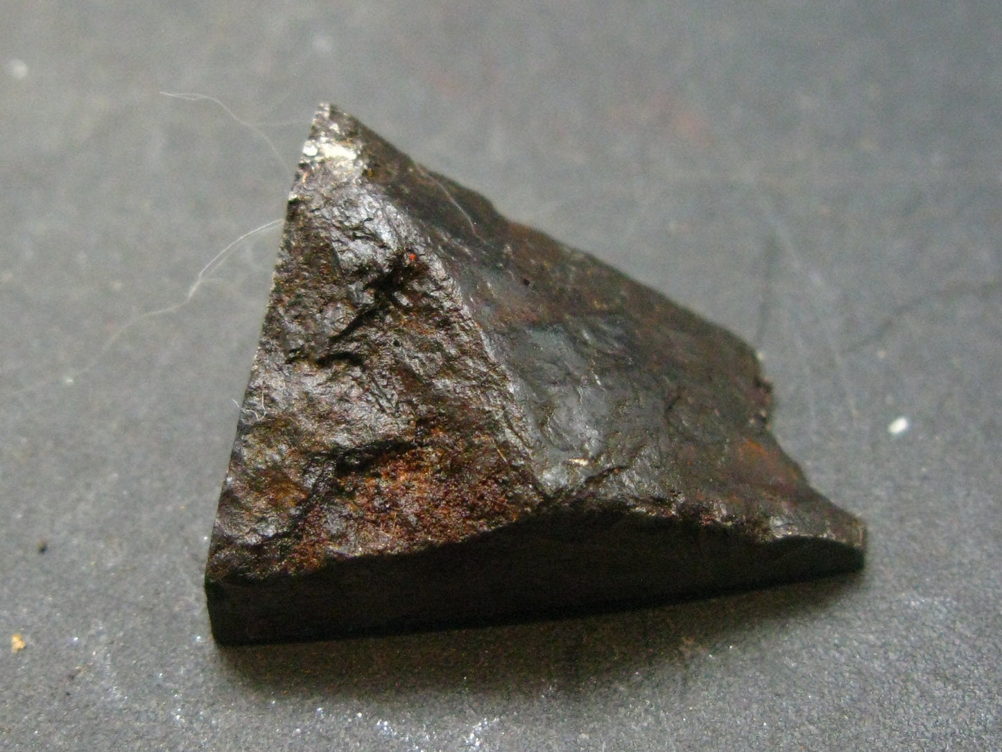 Large Gibeon Meteorite From Namibia - 0.9" - 17.14 Grams