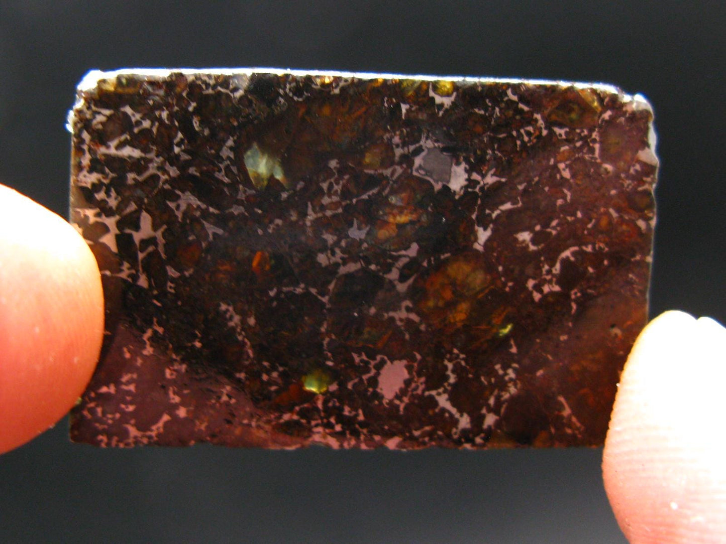 Large Admire Meteorite Pallasite Olivine Slice From Kansas, USA - 1.4" - 6.58 Grams