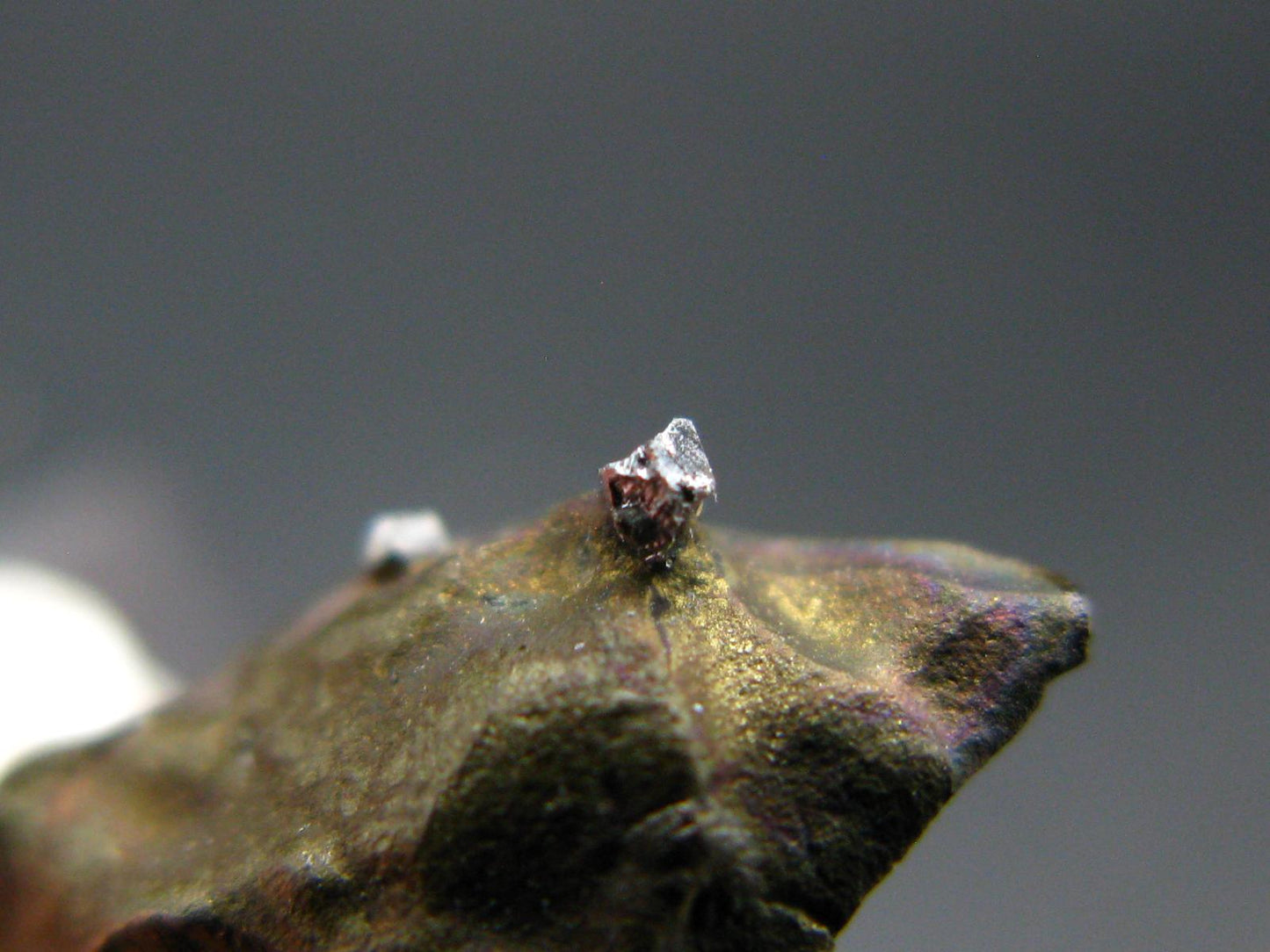 Sperrylite Crystal On Matrix From Russia - 0.6" - 1mm Crystal