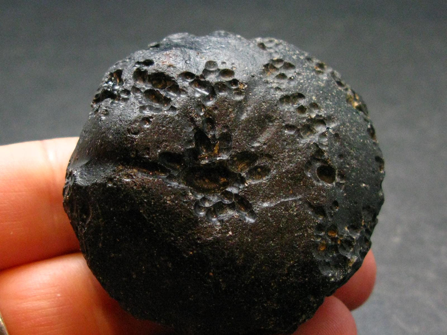 Rare Large Black Tibetan Tektite Raw Piece from Tibet - 1.9" - 67.14 Grams