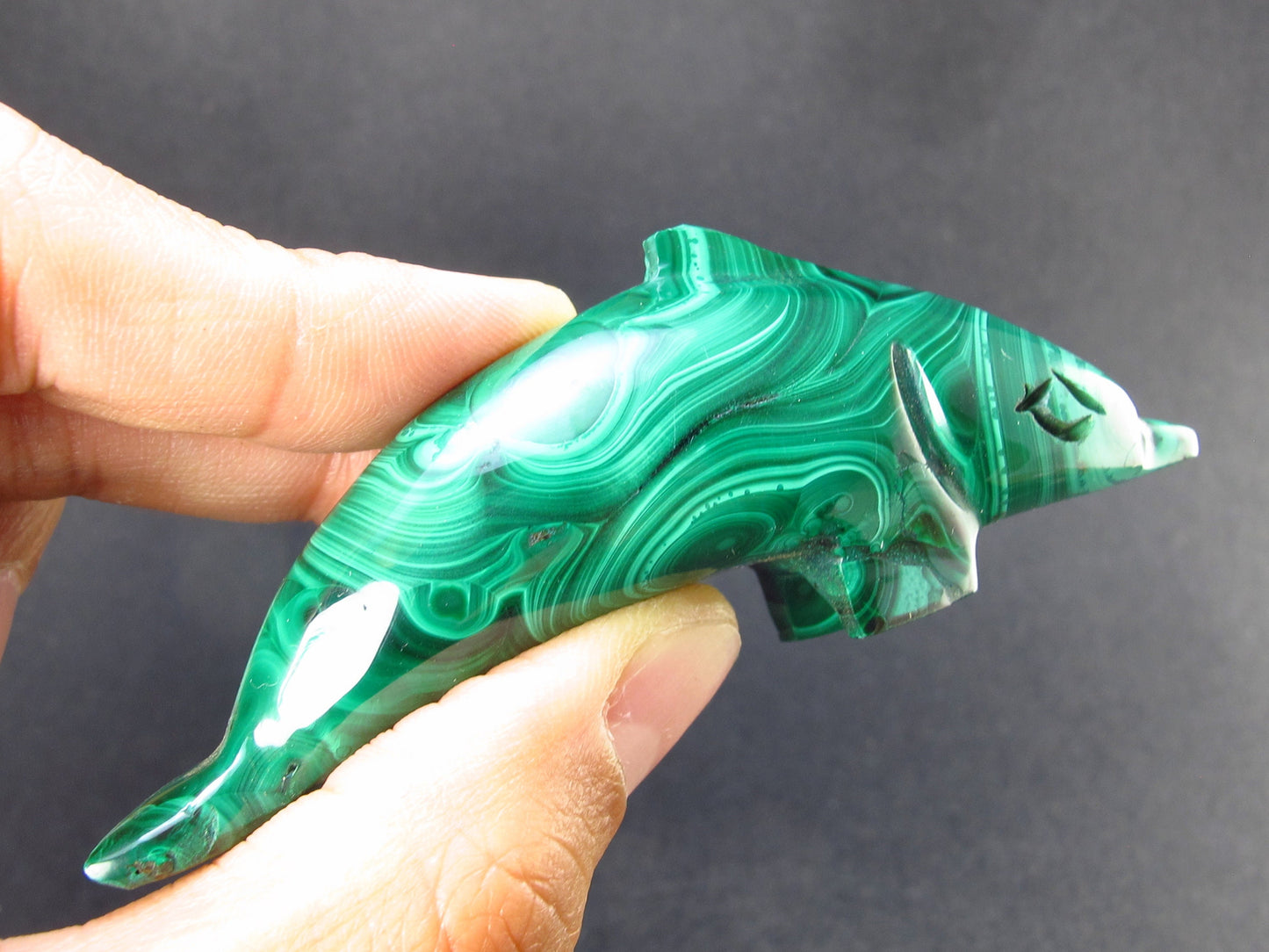 Malachite Dolphin Carving From Congo - 3.2" - 68.7 Grams