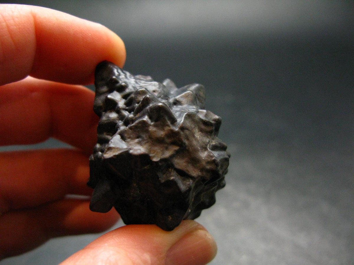 Very rare Z-Stone (Limonite after Marcasite) from Sahara Dessert, Egypt - 1.7" - 49.14 Grams