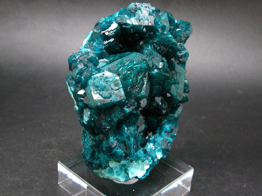 Stunning Dioptase cluster from Congo - 3.2"