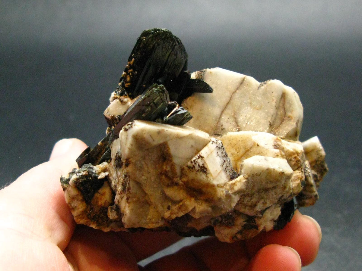 Aegirine Cluster From Malawi - 2.7" - 139.67 Grams