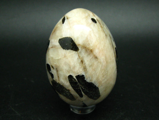 Canadian Treasure from the Earth!! Rare Black Fluoro-richterite Fluororichterite on White Calcite Egg From Ontario, Canada - 2.2"