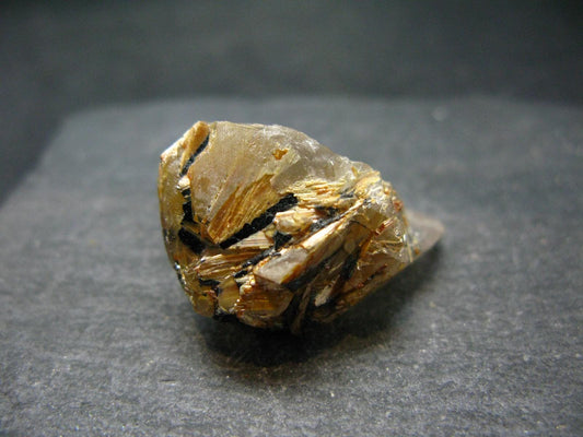 Large Rutilated Smoky Quartz Crystal from Brazil - 1.1" - 13.33 Grams