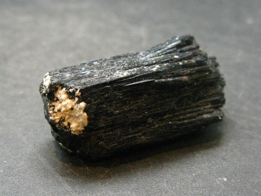 Fine Black Tourmaline Schorl Crystal From Namibia - 1.4"