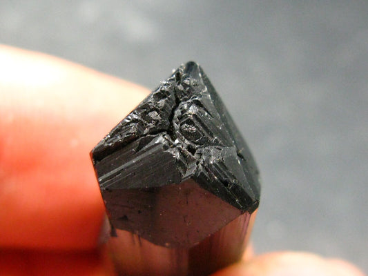 Green Tourmaline Crystal From Brazil - 1.3" - 53.45 Carats