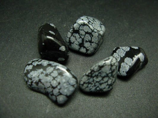 Lot of 5 tumbled Snowflake Obsidian (variety of Obsidian) from USA