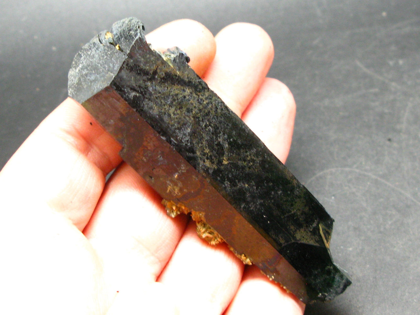 Vivianite Crystal From Bolivia - 3.5"