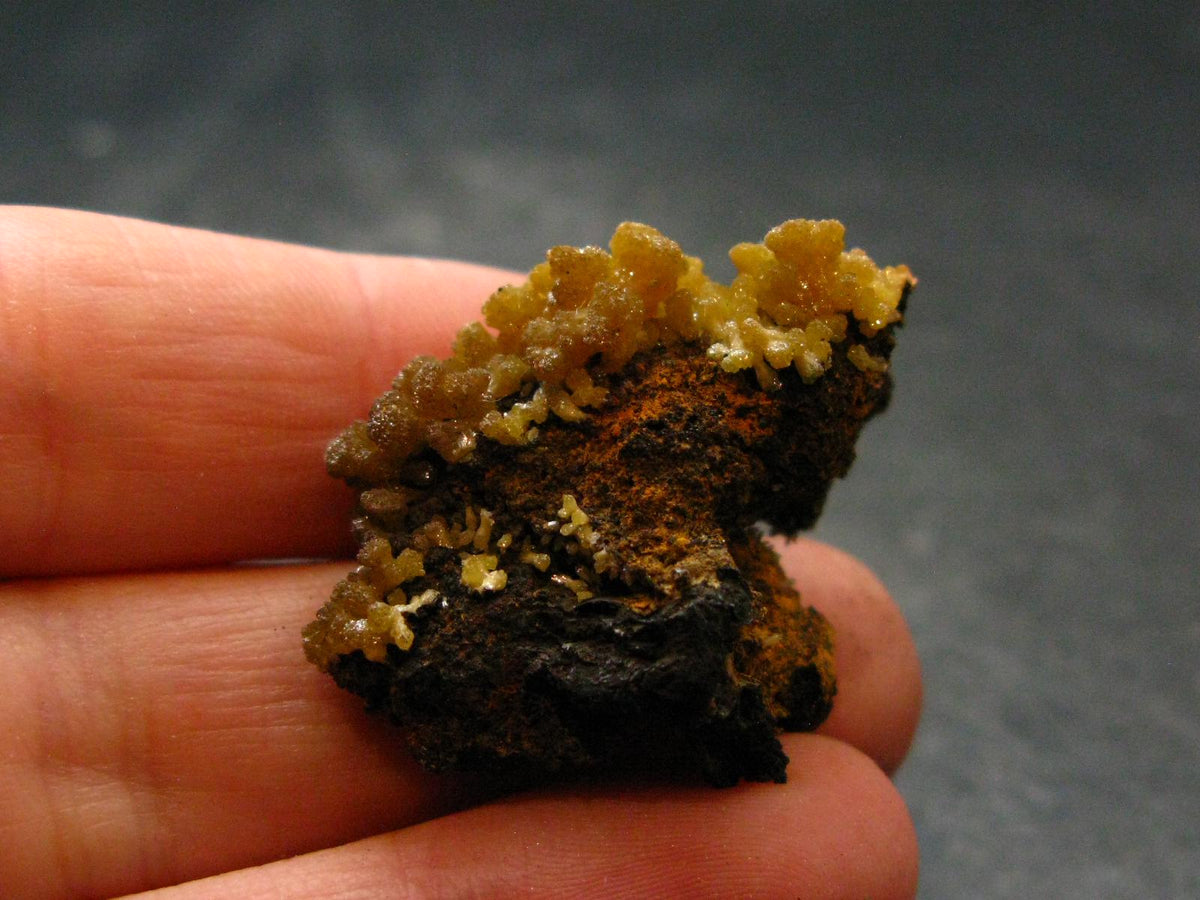 Nice Large Yellow Mimetite Cluster from Mexico - 1.2"