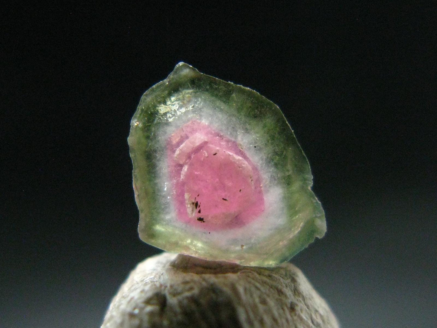 Rare Watermelon Tourmaline Crystal Slice From Brazil - 1.63 Carats