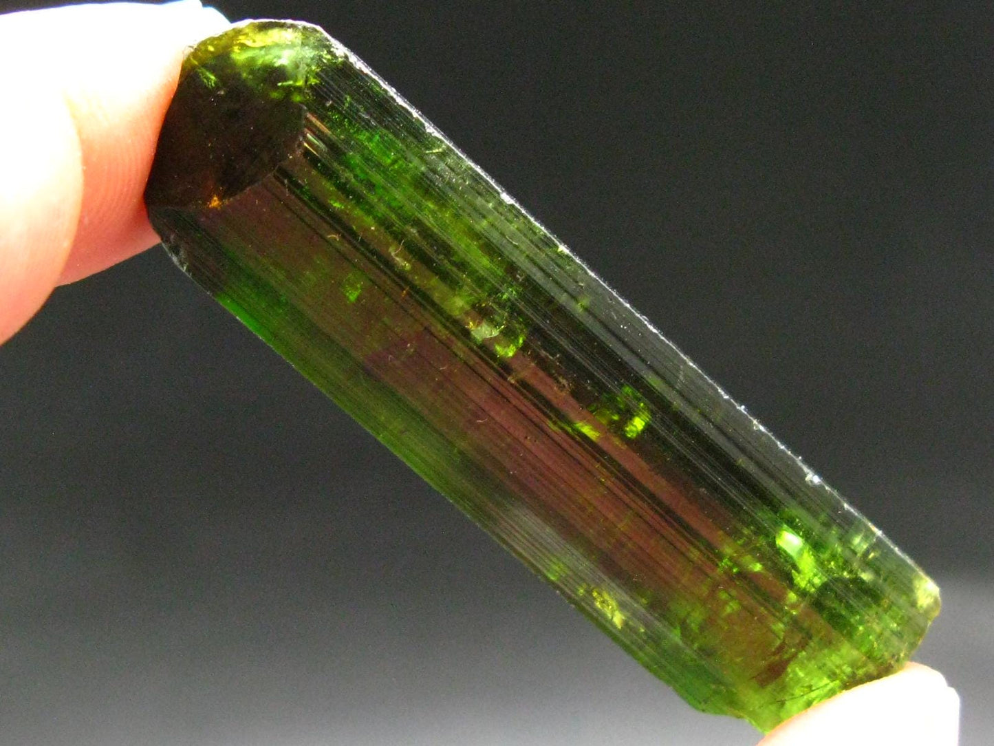 Green Tourmaline Crystal From Brazil - 2.4" - 148.40 Carats