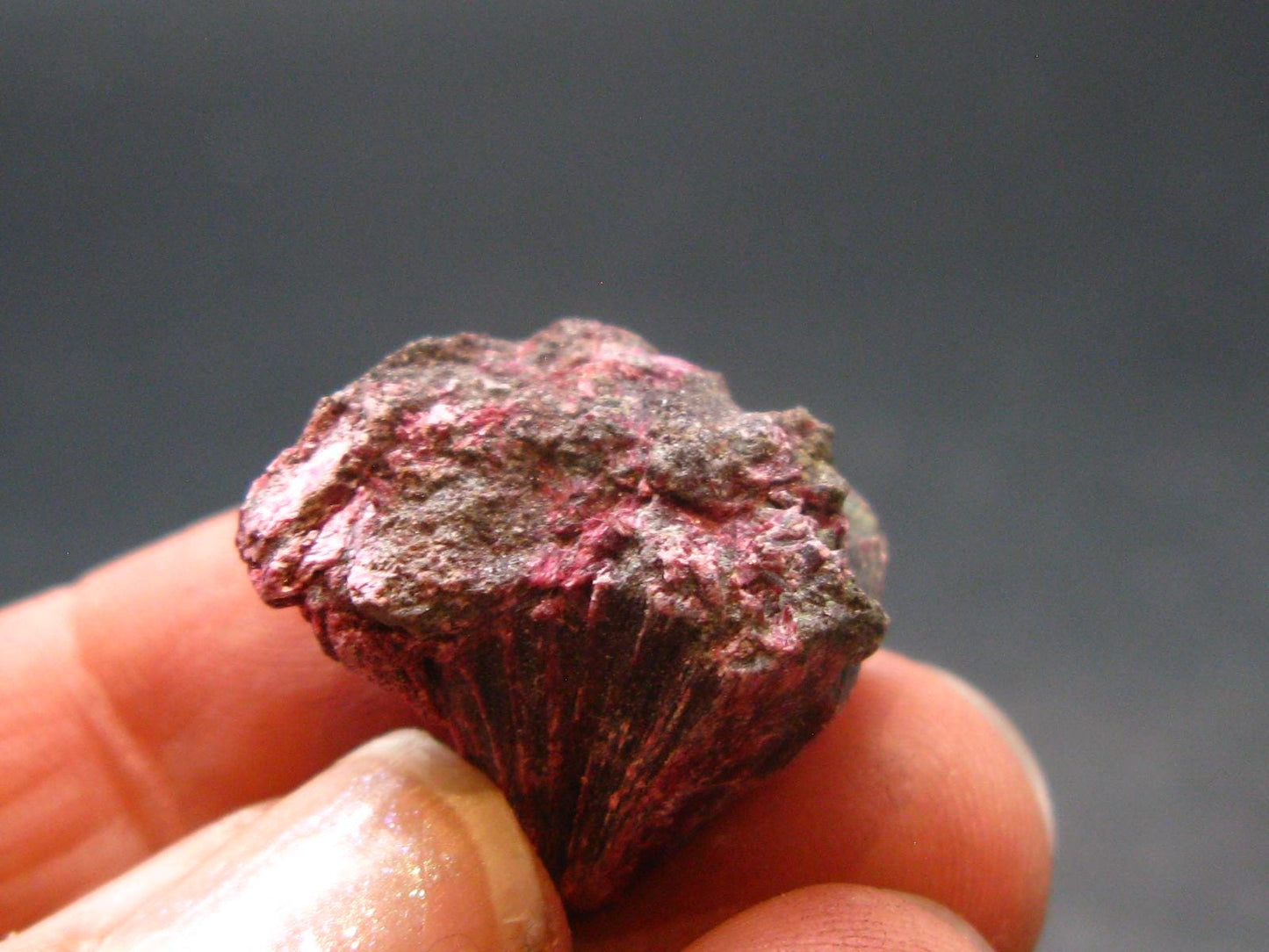 Fine Erythrite Cluster From Morocco - 0.7" - 3.70 Grams