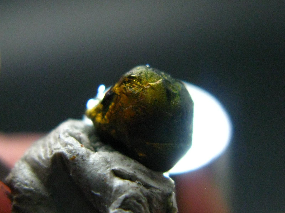Rare Serendibite Crystal From Myanmar - 1.35 Carats