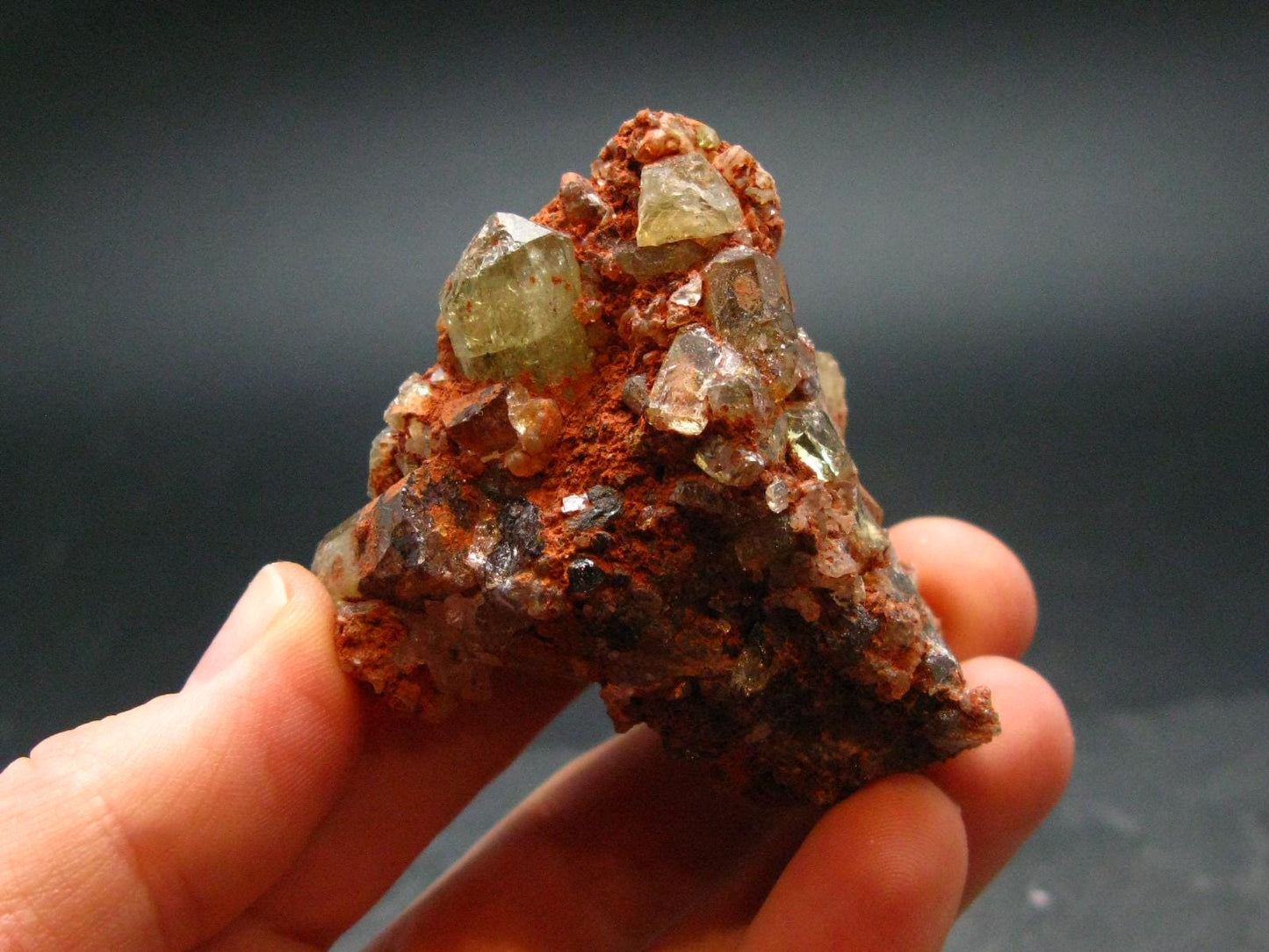 Large Gold Apatite Cluster from Mexico - 60.54 Grams - 1.9"