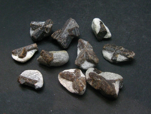 Lot of 10 Perfect Staurolite Crystals from Russia - 30 Grams