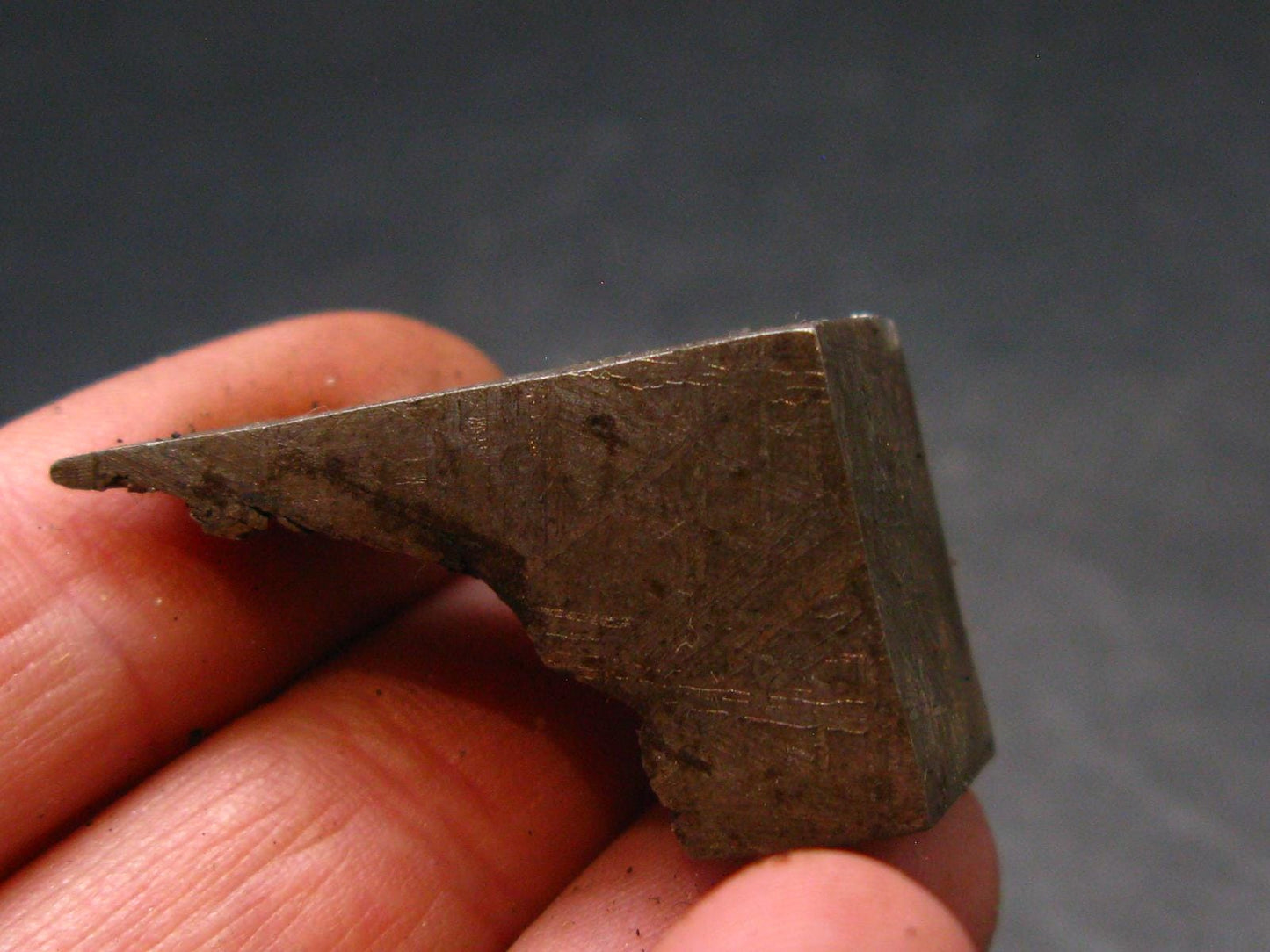 Large Gibeon Meteorite From Namibia - 1.2" - 19.7 Grams