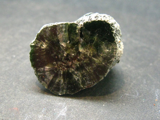 Nice Polished Seraphinite Clinochlore Stalactite Crystal From Russia - 0.8"