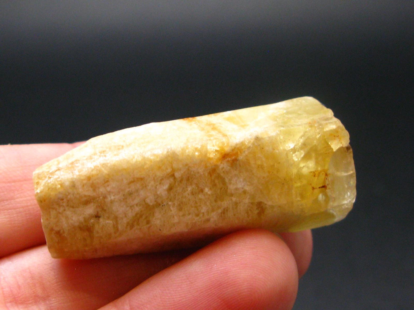 Gem Heliodor Golden Beryl Crystal from Madagascar - 20.17 Grams - 1.6"
