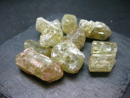 Lot of 10 Gem Golden Apatite Crystals From Mexico