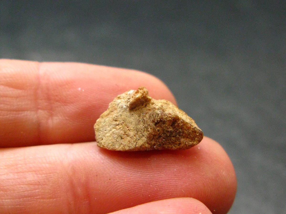 Rare Monazite Crystal From Brazil - 0.6" - 1.71 Grams