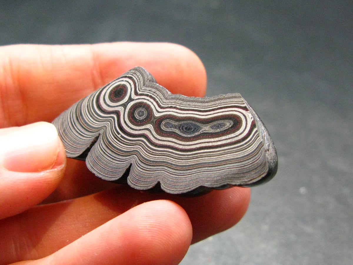 Very Cool Fordite "Detroit Motor City Agate" from Michigan - 1.6"- 8.07 Grams