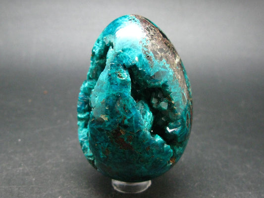 Very Rare Large Dioptase Egg From Congo - 2.7"