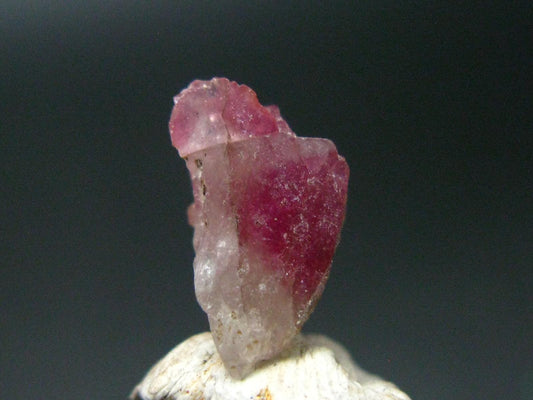 Rare Large Pezzottaite Pink Beryl from Madagascar - 4.13 Carats