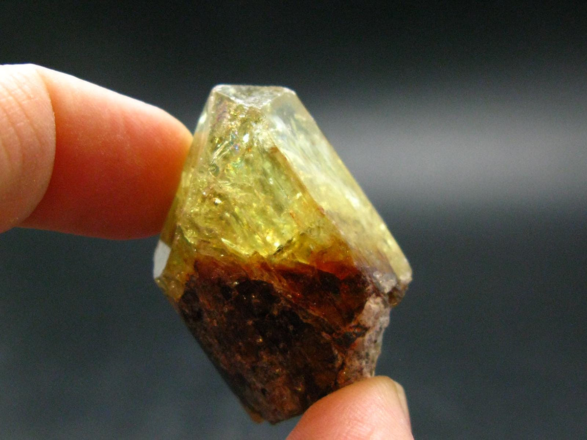 Large Gold Apatite Crysatl from Mexico - 28.04 Grams - 1.4"