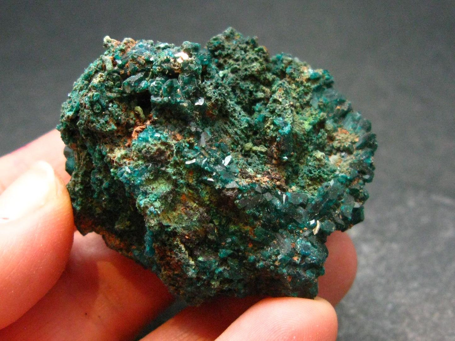 Very Nice Dioptase Cluster from Congo - 1.7" - 44.05 Grams