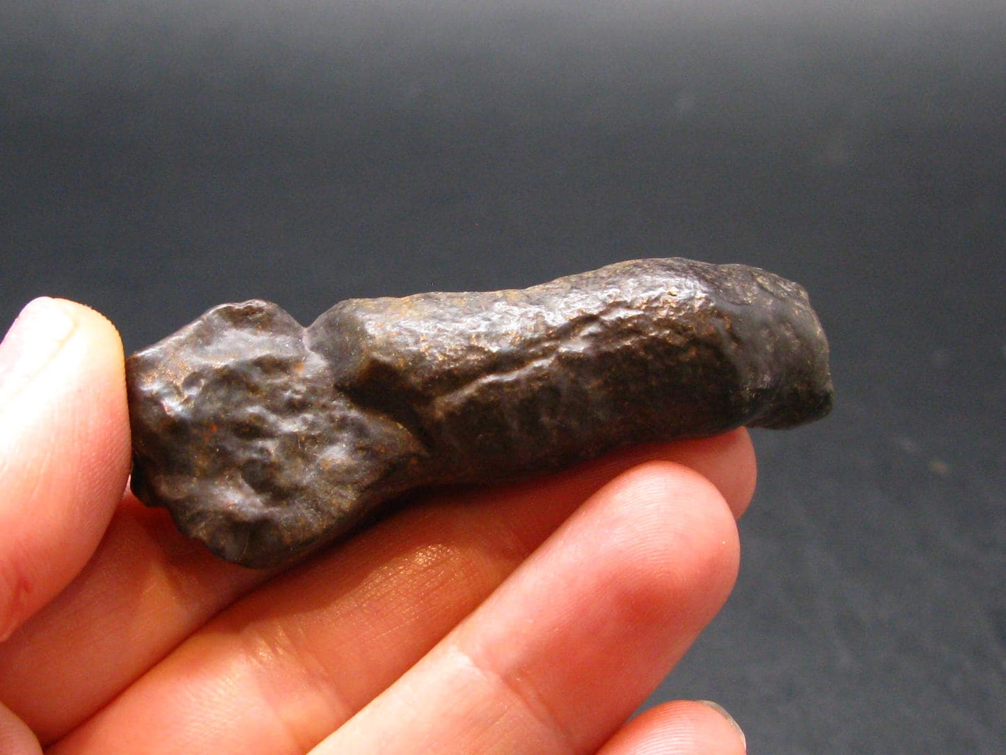 Rare Prophecy Stone Limonite after Pyrite From Egypt - 2.3" - 34.79 Grams