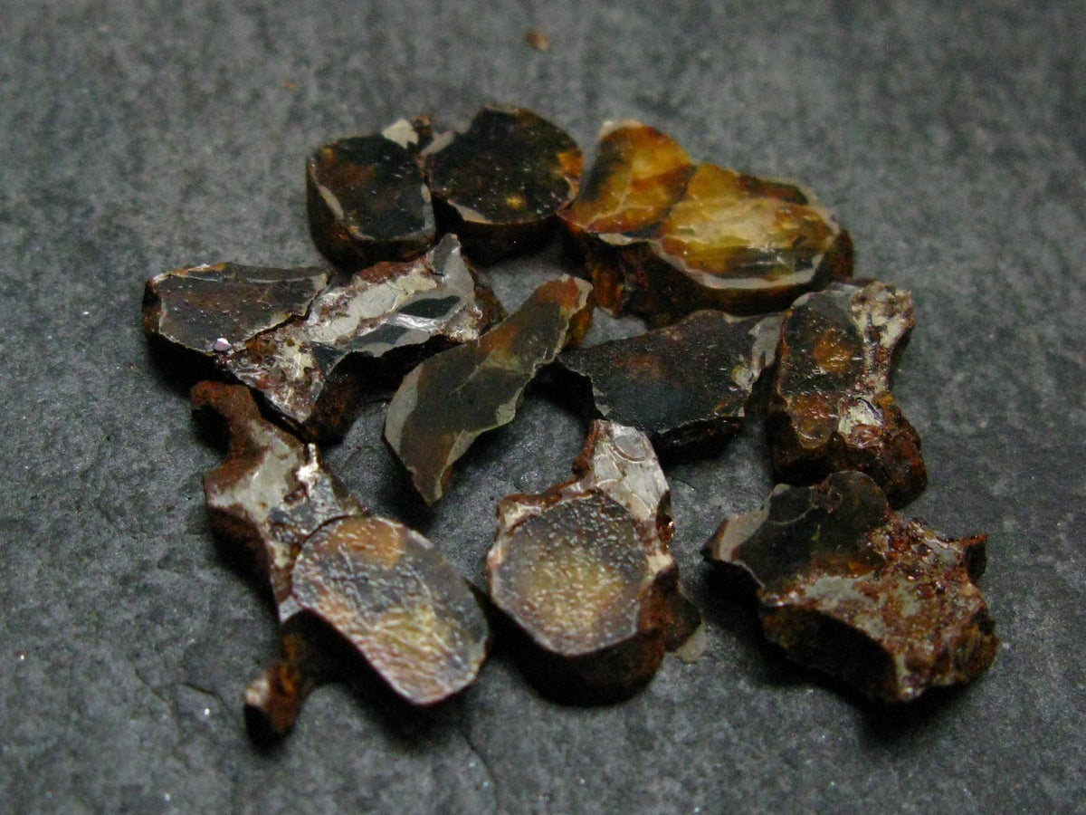 Lot of 10 Sericho Pallasite Meteorite Pieces From Kenya - 4.23 Grams
