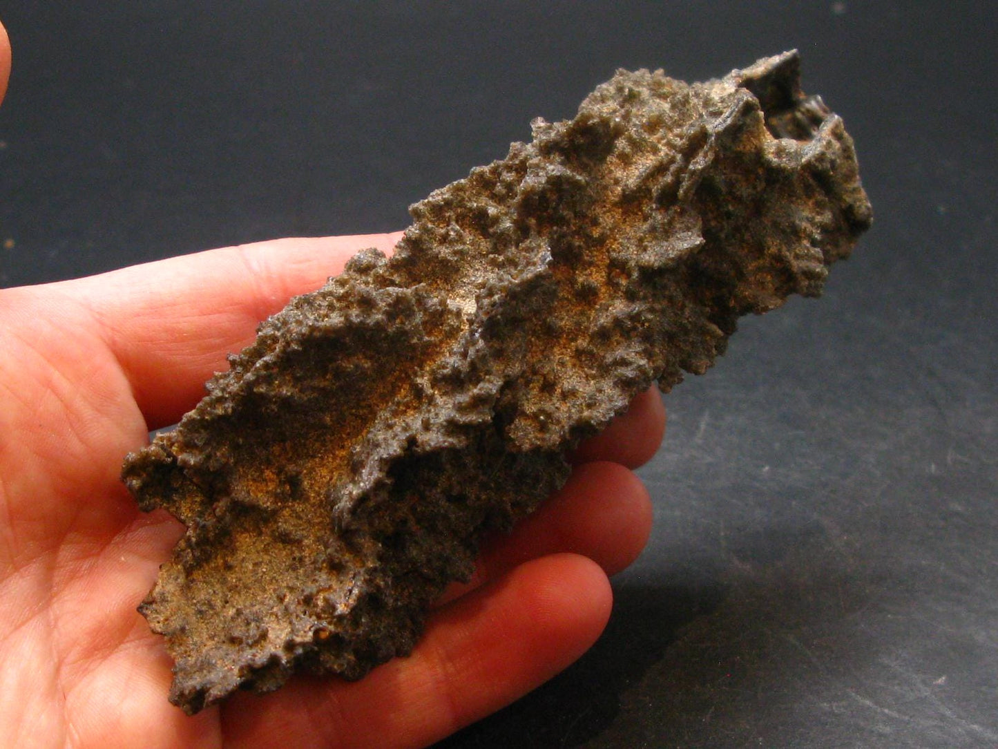 Large Fulgurite Lightning Rock From Sahara Desert - 4.3"